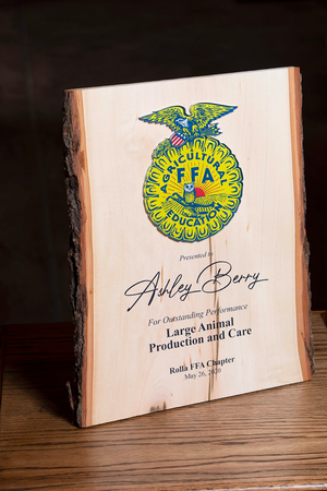 log shaped plaque award sitting on table